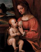 Bernadino Luini Nursing Madonna oil painting reproduction